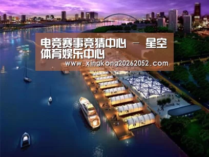 案例展示八