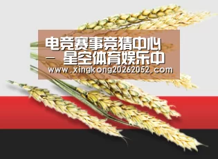 电竞赛事竞猜中心 - 星空体育娱乐中心