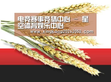 电竞赛事竞猜中心 - 星空体育娱乐中心