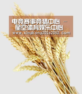 电竞赛事竞猜中心 - 星空体育娱乐中心