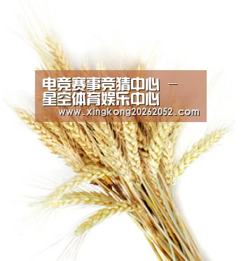 电竞赛事竞猜中心 - 星空体育娱乐中心