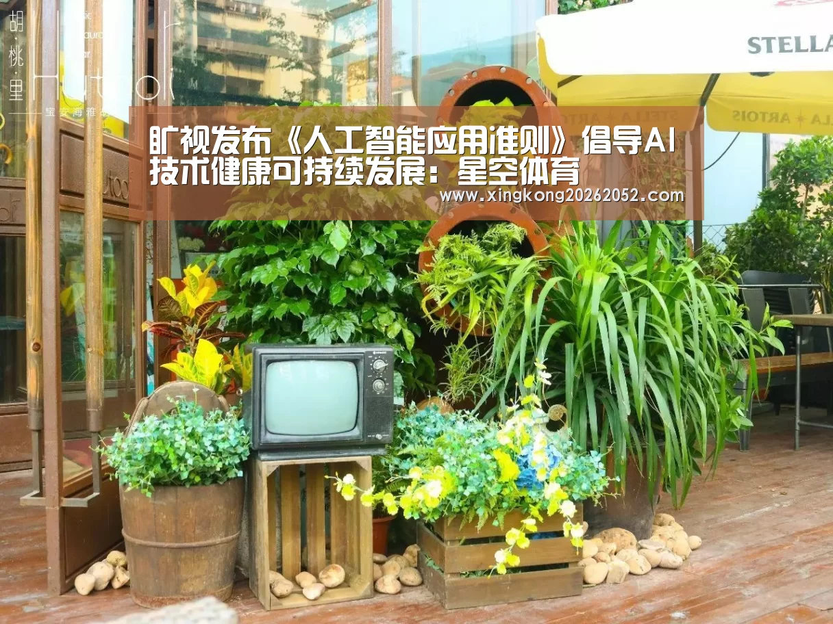 旷视发布《人工智能应用准则》倡导AI技术健康可持续发展:星空体育(图1) 星空直播