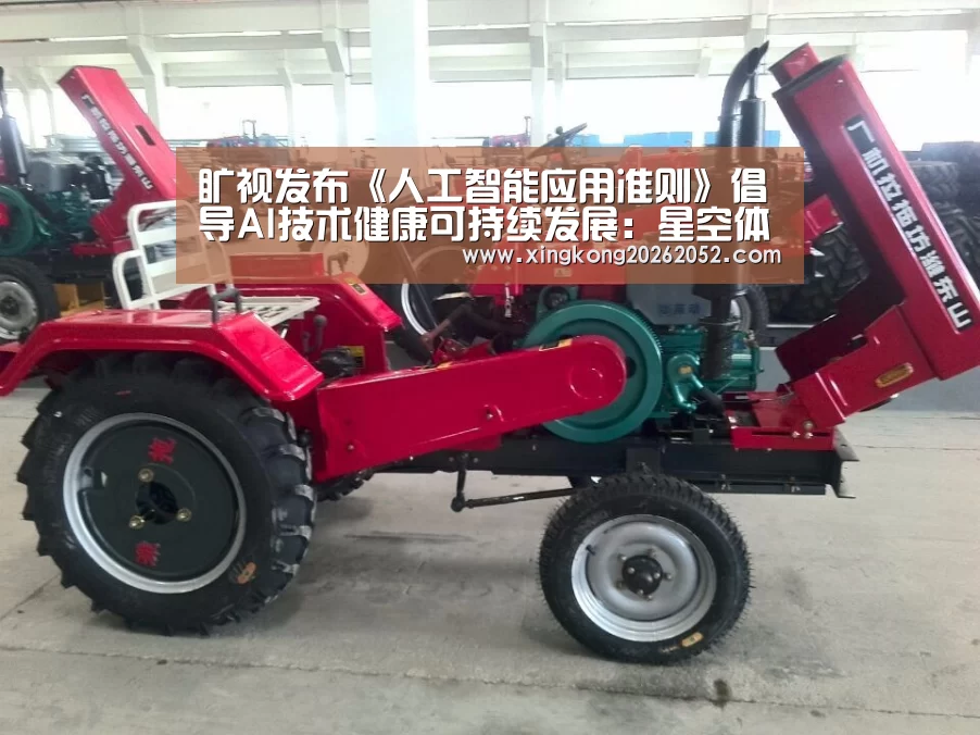 旷视发布《人工智能应用准则》倡导AI技术健康可持续发展:星空体育(图2) 星空百家乐