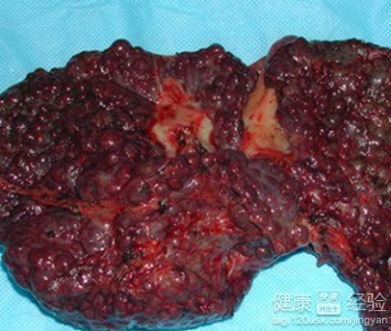 星空直播_腾讯云工业互联网超算中心落户重庆(图1) 星空体育