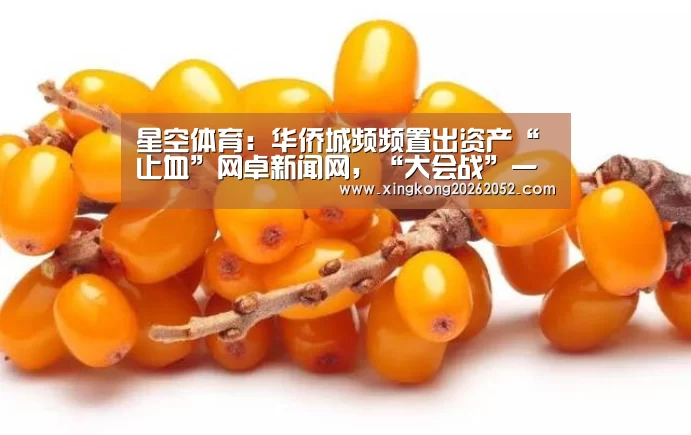 星空体育:华侨城频频置出资产“止血”网卓新闻网,“大会战”一年后云南布局“洗牌”(图1) 星空百家乐