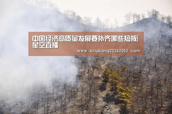 中国经济高质量发展要补齐哪些短板|星空直播(图1) 星空体育
