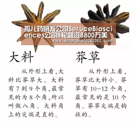 孤儿药研发公司SpruceBiosciences公司B轮融资8800万美元|星空体育(图3) 星空官网