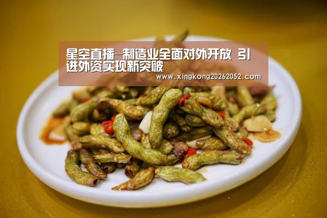 星空百家乐