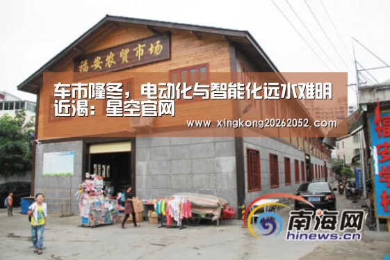 车市隆冬,电动化与智能化远水难明近渴:星空官网(图1) 星空直播