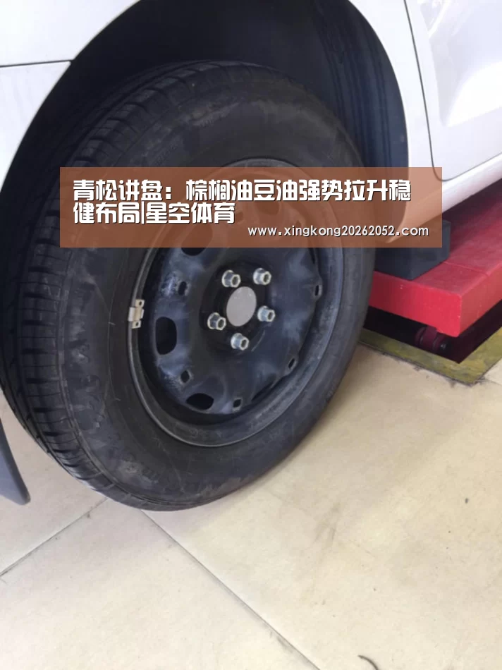 青松讲盘:棕榈油豆油强势拉升稳健布局|星空体育(图2) 星空百家乐