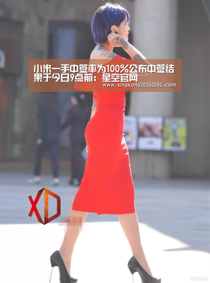 小米一手中签率为100%公布中签结果于今日9点前:星空官网(图1) 星空直播
