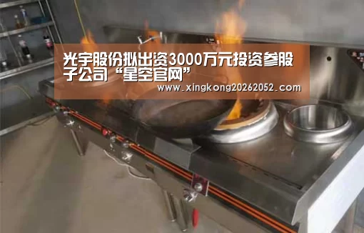光宇股份拟出资3000万元投资参股子公司“星空官网”(图2) 星空官网