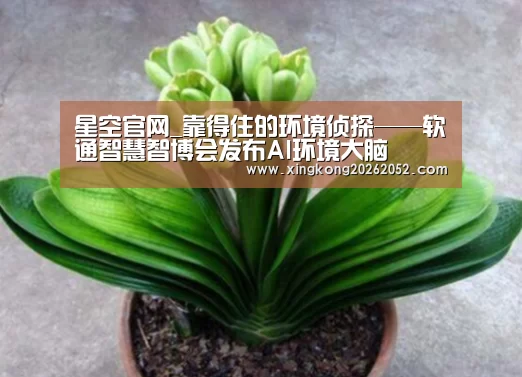 星空官网_靠得住的环境侦探——软通智慧智博会发布AI环境大脑(图3) 星空百家乐