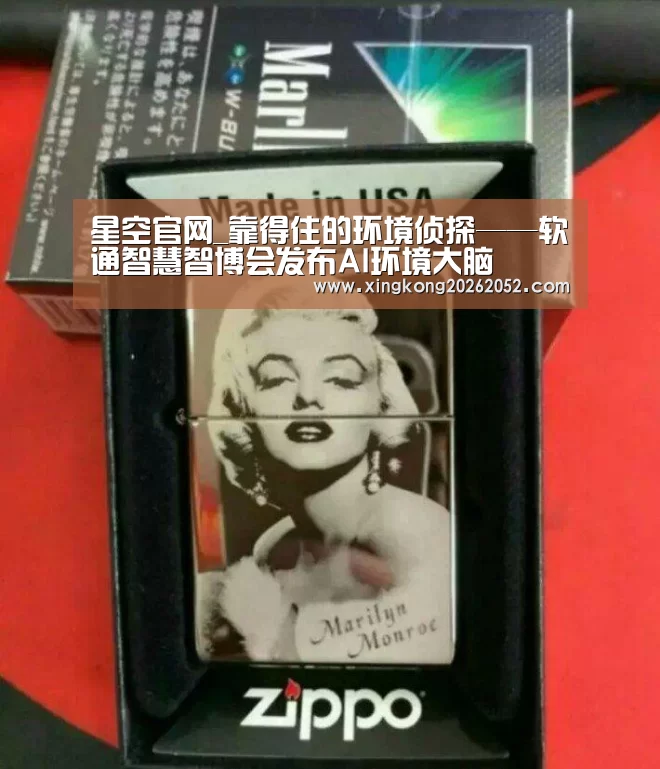 星空官网_靠得住的环境侦探——软通智慧智博会发布AI环境大脑(图2) 星空直播