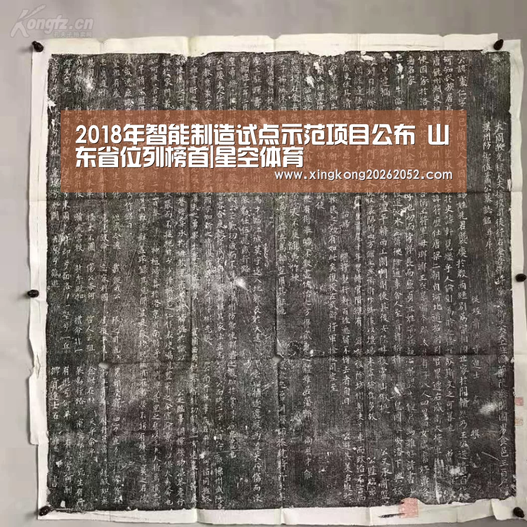 2018年智能制造试点示范项目公布 山东省位列榜首|星空体育(图1) 星空百家乐