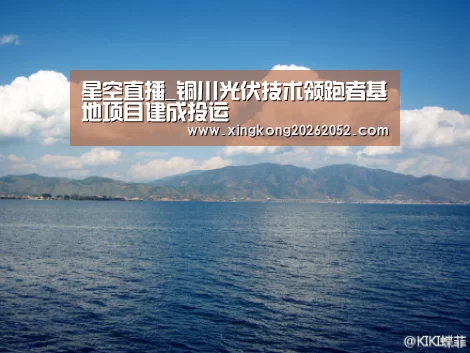 星空直播_铜川光伏技术领跑者基地项目建成投运(图3) 星空直播