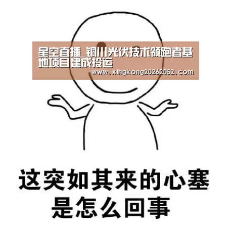 星空直播_铜川光伏技术领跑者基地项目建成投运(图4) 星空百家乐