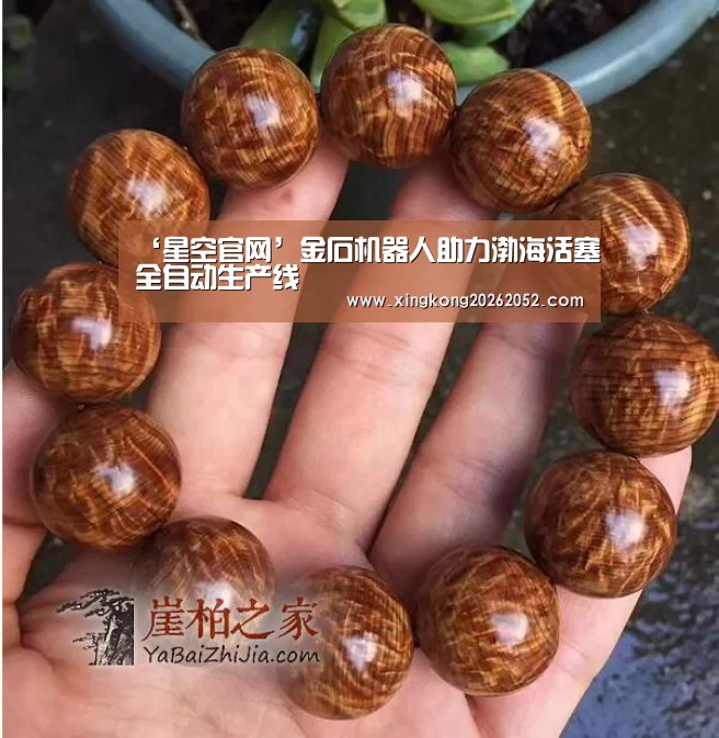 星空百家乐